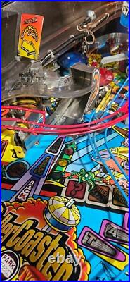 ROLLER COASTER TYCOON Pinball Machine Stern 2002 2433