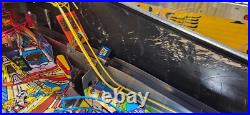 ROLLER COASTER TYCOON Pinball Machine Stern 2002 2433