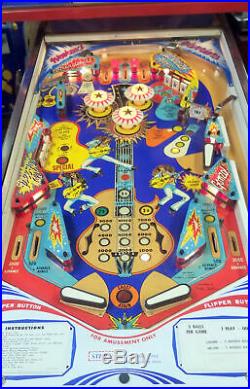 Rare 1978 Ted Nugent Pinball machine