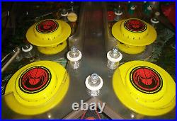 Raven Pinball Predator Kit HIGHEST QUALITY RESOLUTION Raven Pinball Predator Kit HIGHEST QUALITY RESOLUTION