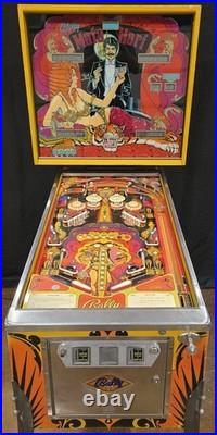 Refurbished Mata Hari Pinball Machine (Bally) 1978