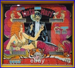 Refurbished Mata Hari Pinball Machine (Bally) 1978