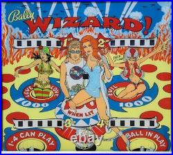Restored Wizard! Pinball Machine (Bally) 1975