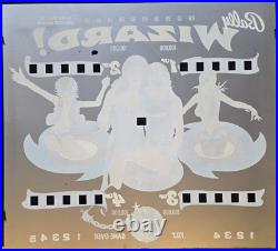 Restored Wizard! Pinball Machine (Bally) 1975