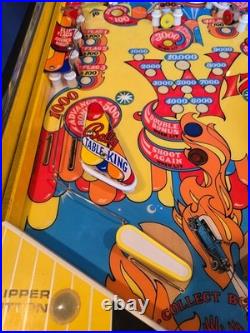 Restored Wizard! Pinball Machine (Bally) 1975