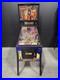 Ripleys-Believe-It-Or-Not-Pinball-Machine-Stern-Orange-County-Pinballs-Free-ship-01-ls