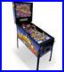 RollerCoaster-Tycoon-by-Stern-Pinball-Machine-WORKS-Clean-2002-01-ct