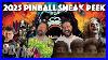 Sdtm-2025-Pinball-Sneak-Peek-Rumors-Secrets-U0026-Predictions-01-zz