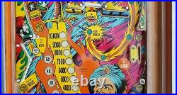 Sinbad Pinball Machine (Gottlieb) 1978