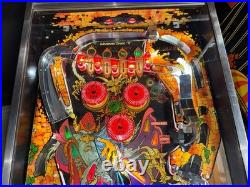 Sorcerer Pinball Machine Williams 1985 LEDS Orange County Pinballs FREE SHIP