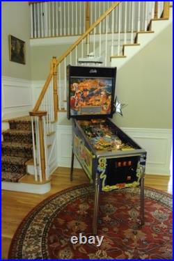 Spectacular Gilligans Island Pinball MACHINE Custom SS minnow signed Dawn Wells