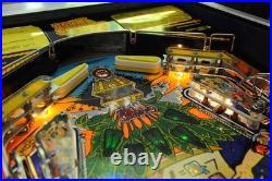 Spectacular Gilligans Island Pinball MACHINE Custom SS minnow signed Dawn Wells