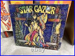 Stargazer Original Backglass STERN RARE HOLY GRAIL Star Gazer Vintage Authentic