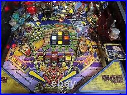 Stern Ripley's Believe It Or not Pinball Machine Pinball Machine LEDs Family Fun