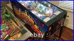 Stern Roller Coaster Tycoon Pinball Machine HUO 479 Plays Original Excellent NR