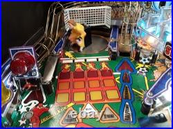 Striker Xtreme by Stern Pinball Machine-Completely Restored