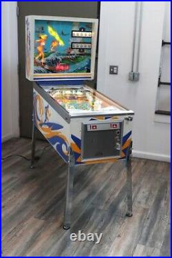 Surfer Pinball Machine Gottlieb 1976 HUO