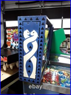Time Warp Pinball Machine by Williams