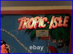 Tropic Isle Pinball Machine by Gottlieb-FREE SHIPPING