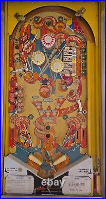 Unique Wizard! Pinball Machine (Bally) 1975 Completely Refurbished