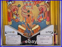 Unique Wizard! Pinball Machine (Bally) 1975 Completely Refurbished