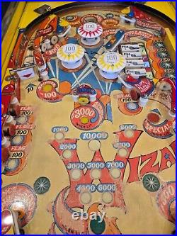 Unique Wizard! Pinball Machine (Bally) 1975 Completely Refurbished