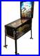 Vacation-America-pinball-Machine-01-fa
