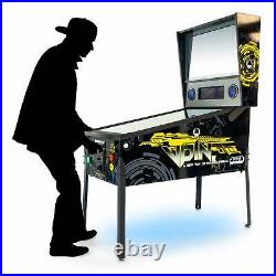 Virtual Pinball TR2 Arcade Machine 327 Famous Pinball Games 49 4K-LCD Screen