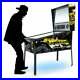 Virtual-Pinball-TR2-Arcade-Machine-327-Famous-Pinball-Games-49-4K-LCD-Screen-01-lsj