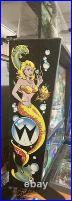 WILLIAMS FISH TALES PINBALL MACHINE LEDs