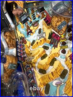 WILLIAMS WHITEWATER PINBALL MACHINE BEAUTIFUL CONDITION COLOR DMD LEDs WILLIAMS WHITEWATER PINBALL MACHINE BEAUTIFUL CONDITION COLOR DMD LEDs