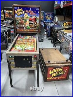 Whoa Nellie Big Juicy Melons Pinball Machine Stern Free Shipping Rare