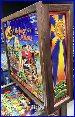Whoa Nellie Big Juicy Melons Pinball Machine Stern Free Shipping Rare