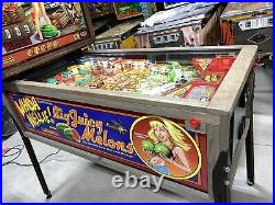 Whoa Nellie Big Juicy Melons Pinball Machine Stern Free Shipping Rare