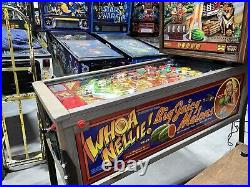 Whoa Nellie Big Juicy Melons Pinball Machine Stern Free Shipping Rare