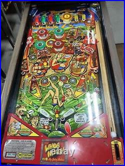 Whoa Nellie Big Juicy Melons Pinball Machine Stern Free Shipping Rare