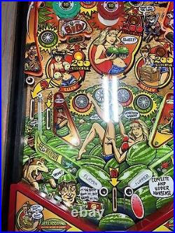 Whoa Nellie Big Juicy Melons Pinball Machine Stern Free Shipping Rare