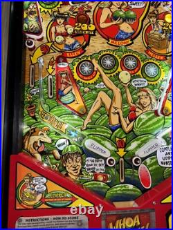 Whoa Nellie! Big Juicy Melons Pinball Machine Stern Orange County Pinballs Whoa Nellie! Big Juicy Melons Pinball Machine Stern Orange County Pinballs