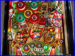 Whoa Nellie! Big Juicy Melons Pinball Machine Stern Orange County Pinballs Whoa Nellie! Big Juicy Melons Pinball Machine Stern Orange County Pinballs