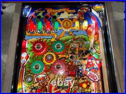Whoa Nellie! Big Juicy Melons Pinball Machine Stern Orange County Pinballs Whoa Nellie! Big Juicy Melons Pinball Machine Stern Orange County Pinballs