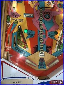 Wild Life Pinball Machine Coin Op Gottlieb 1972 Free Shipping