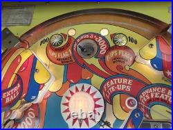 Wizard! By Bally Pinball Machine