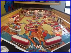 Wizard! By Bally Pinball Machine
