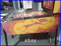 Zip-A-Doo Pinball Machine by Bally