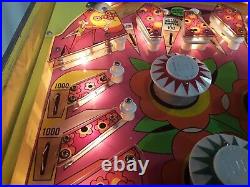 Zip-A-Doo Pinball Machine by Bally