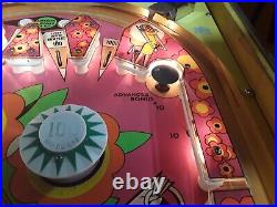 Zip-A-Doo Pinball Machine by Bally